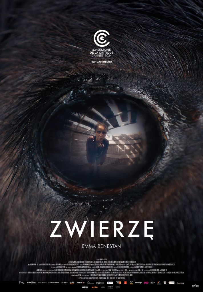 Zwierzę